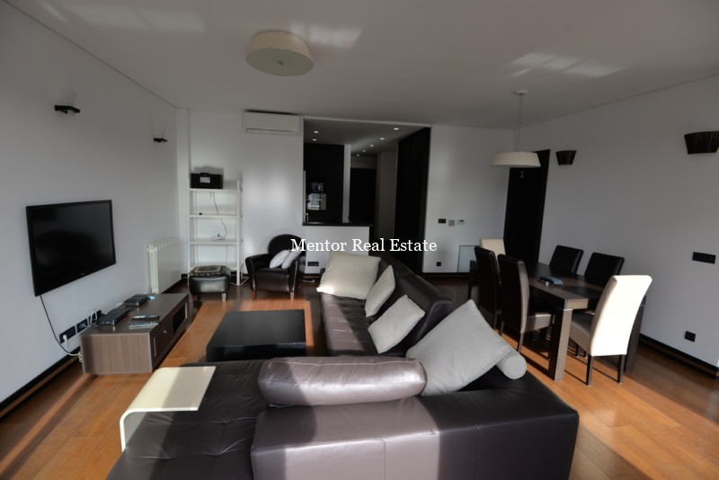 Dedinje luxury apartment for rent (14)