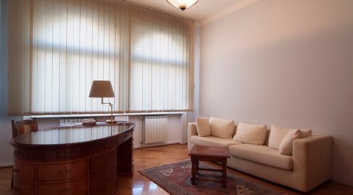 Kralja Petra apartment for rent (32)