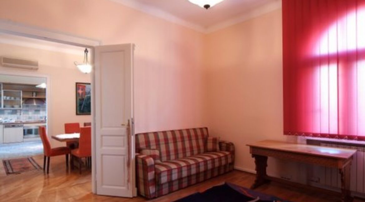 Kralja Petra apartment for rent (36)