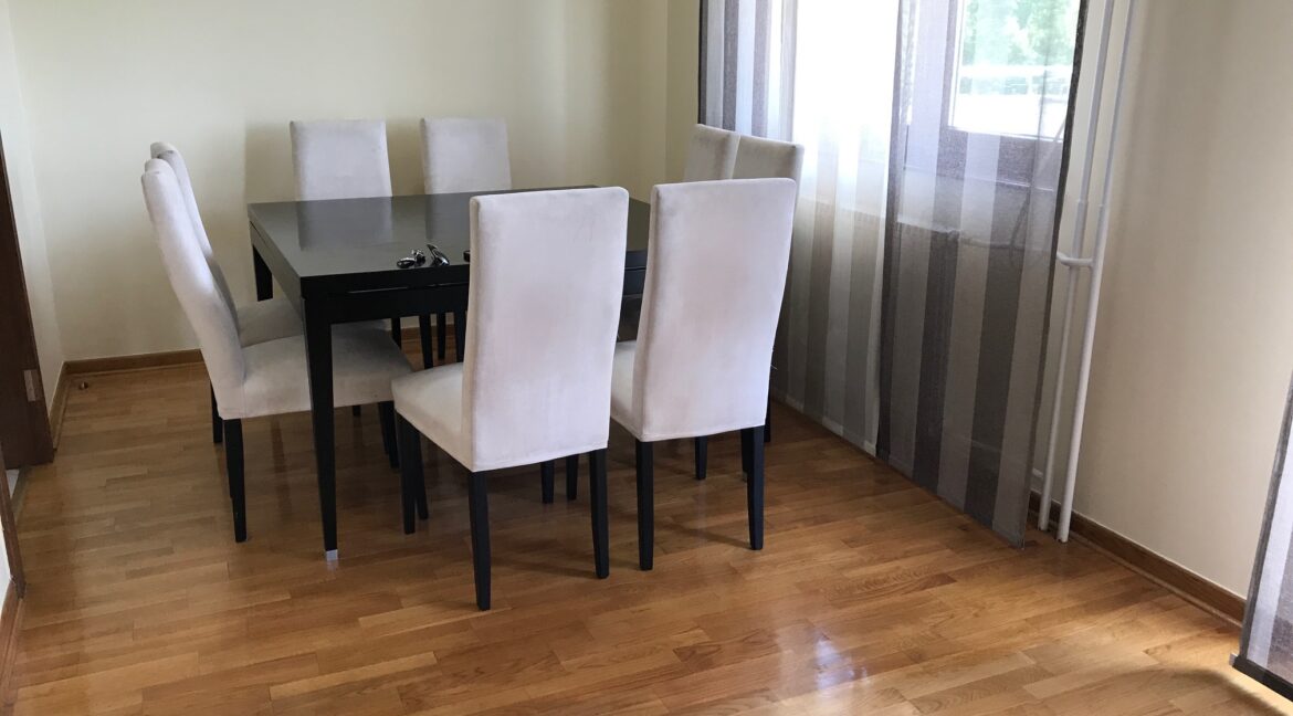 Senjak 170sqm luxury apartment for rent (6)
