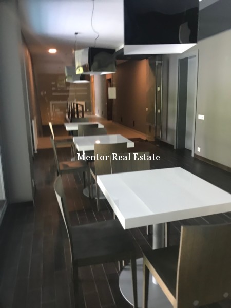 Senjak luxury apartment for rent (19)