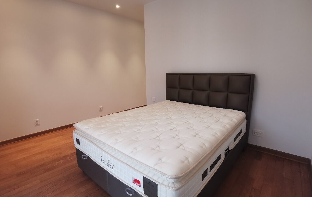Vračar luxury apartment for rent (8)